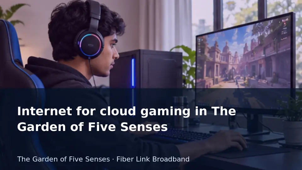 Internet for cloud gaming in The Garden of Five Senses guide